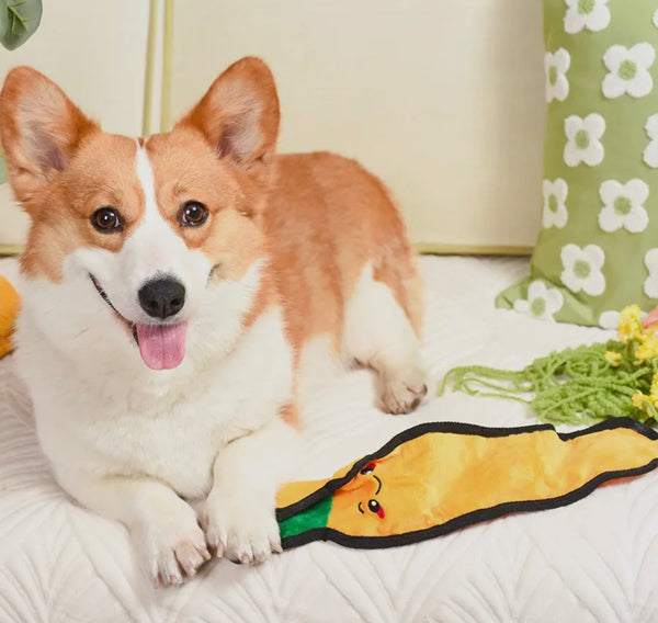Squeakin’ Vegetables Carrot Dog Toy By Hugsmart
