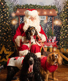 Santa Paws Festive Christmas Party Sunday 14th Dec @ Mi Coffee & Cake