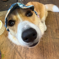 Wild Flower Hat By Dogo Pet