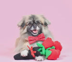 Valentine’s Bouquet Red Roses By Zippy Paws
