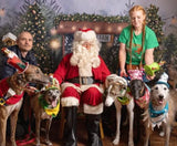 Santa Paws Festive Christmas Party Sunday 14th Dec @ Mi Coffee & Cake