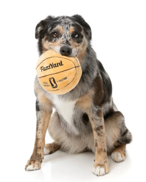 Basketball Toy By FuzzYard