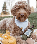 Merlot Wine Bottle Snuffle Toy By Lambwolf Collective