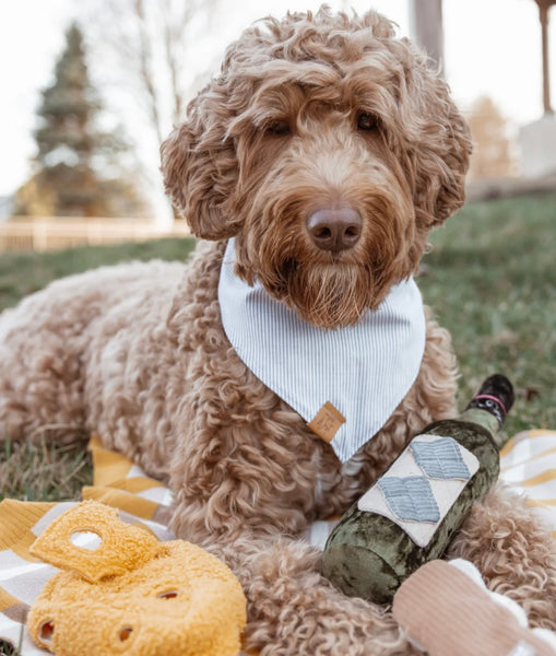 Merlot Wine Bottle Snuffle Toy By Lambwolf Collective