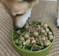 Green Christmas Tree Enrichment Slow Feeder Bowl for Dogs By Soda Pup