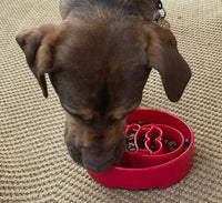 Red Santa Enrichment Slow Feeder Bowl for Dogs By Soda Pup