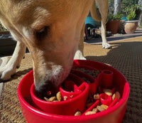 Red Santa Enrichment Slow Feeder Bowl for Dogs By Soda Pup