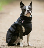 Black Thermal Self Heating Dog Jacket By Hugo & Hudson