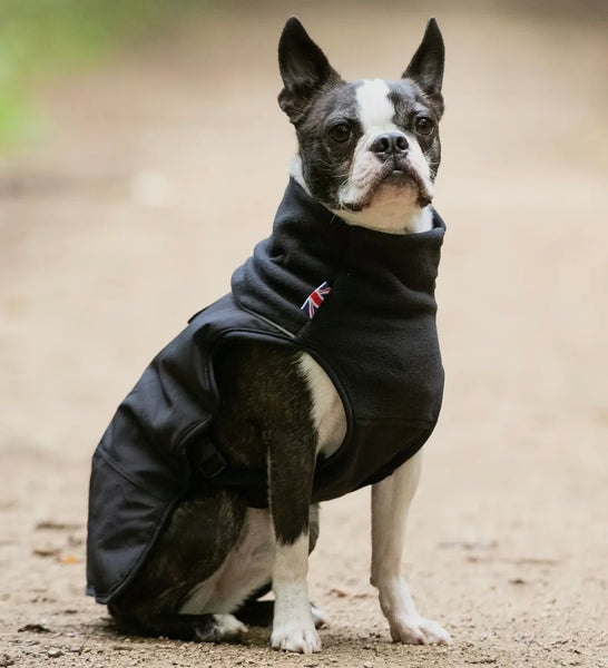 Black Thermal Self Heating Dog Jacket By Hugo & Hudson