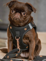 Luxe Rockstar Black Step In Harness By Dogistry