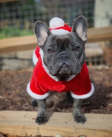 Santa Velvet Hoodie By Parisian Pet