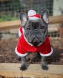 Santa Velvet Hoodie By Parisian Pet