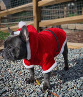 Santa Velvet Hoodie By Parisian Pet