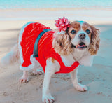 Santa Velvet Dress By Parisian Pet