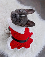 Santa Velvet Dress By Parisian Pet