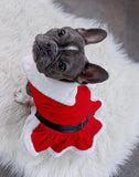 Santa Velvet Dress By Parisian Pet