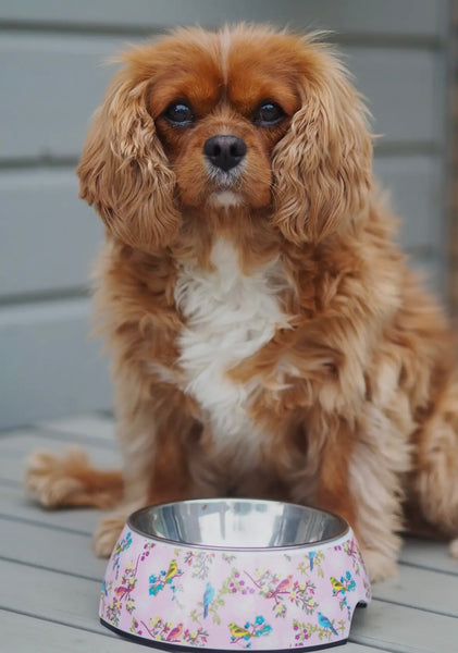 Rosy Pink Paradise Floral Avenue Classic Bowl By PawStory