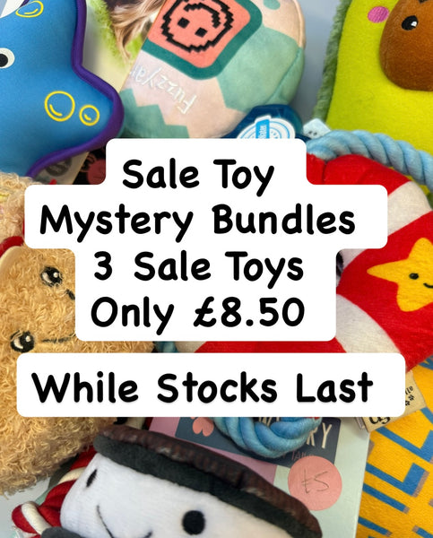 Sale Toy Mystery Bundle