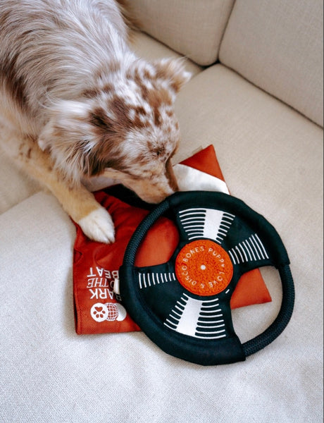 Bark To The Beat Record Snuffle Toy By Lambwolf Collective