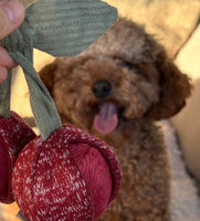 Cherry Pop Snuffle Toy By Lambwolf Collective