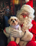 Santa Paws Festive Christmas Party Sunday 14th Dec @ Mi Coffee & Cake