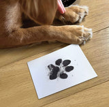 Pet Safe Non-Toxic Paw Print Ink Pad Kit By Oh So Precious