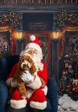 Santa Paws Festive Christmas Party Sunday 14th Dec @ Mi Coffee & Cake