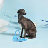 Ocean Pals Whale Toy By Hugsmart