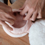 PRE ORDER Blush Compact Toy By Lambwolf Collective
