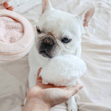 PRE ORDER Blush Compact Toy By Lambwolf Collective