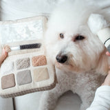 PRE ORDER Eyeshadow Palette Toy By Lambwolf Collective
