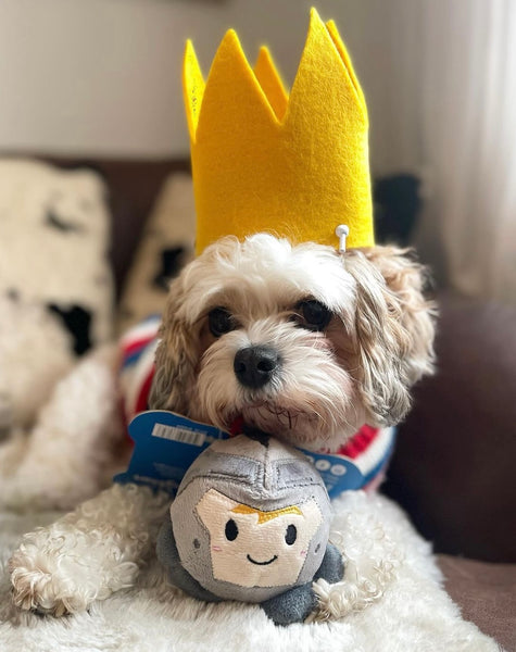 Yellow Felt Handmade Crown By Urban Tails