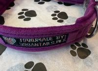 Amethyst Jewel Velvet Dog Collar Handmade By Urban Tails