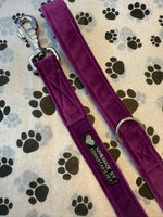 Amethyst Jewel Velvet Dog Lead Handmade By Urban Tails