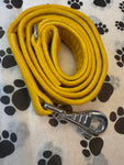 Citrine Jewel Velvet Dog Lead Handmade By Urban Tails