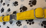 Citrine Jewel Velvet Dog Collar Handmade By Urban Tails