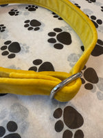 Citrine Jewel Velvet Dog Collar Handmade By Urban Tails