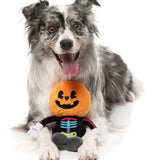 BOO-TERNUT Halloween Toy By FuzzYard