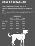 Royal Blue Puffer Coat By Doggy Concepts Outwear