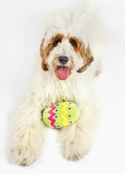 Green Plush Easter Egg Dog Toy By Midlee Love From Betty