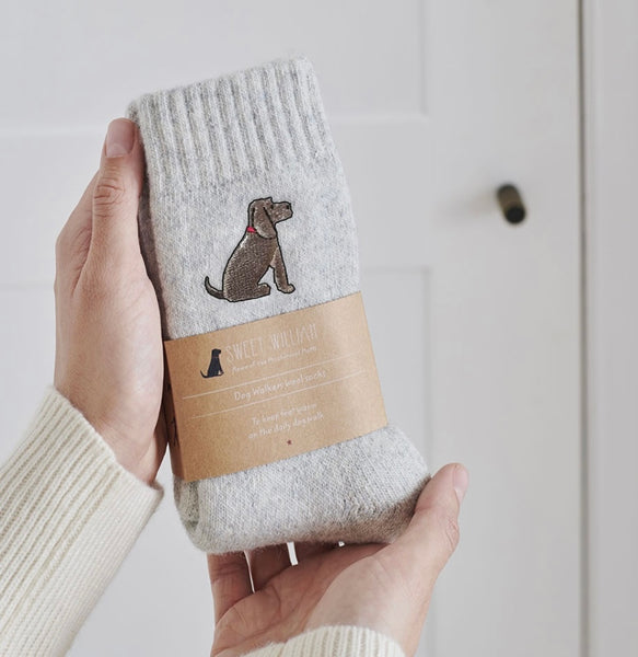 Chocolate Cocker Spaniel Dog Walkers Socks By Sweet William