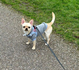 Mid Grey Cosy Dog Hoodie