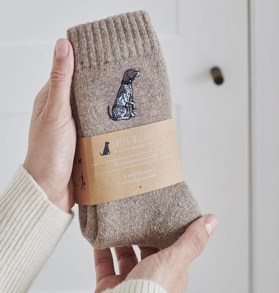Pointer Dog Walkers Socks By Sweet William