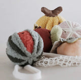 Watermelon Pop Toy By Lambwolf Collective