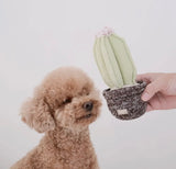 Cactus Toy By Lambwolf Collective
