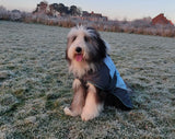Waterproof Dog Coat By Henry Wag