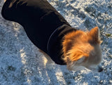 Black Thermal Self Heating Dog Jacket By Hugo & Hudson