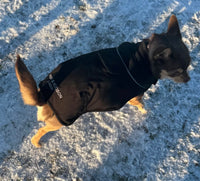Black Thermal Self Heating Dog Jacket By Hugo & Hudson