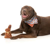 Chocolate Bunny Plush Easter Dog Toy By FuzzYard