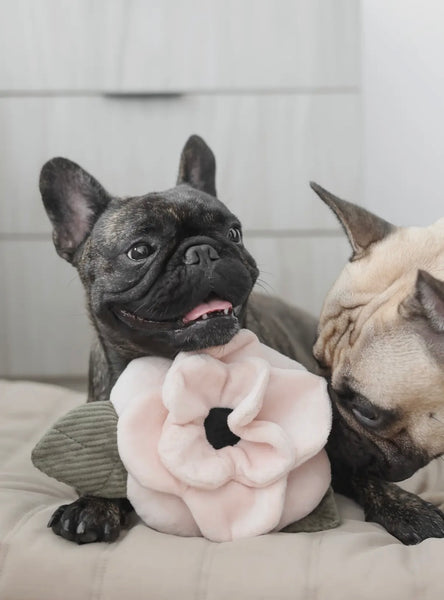 Poppy Flower Toy By Lambwolf Collective